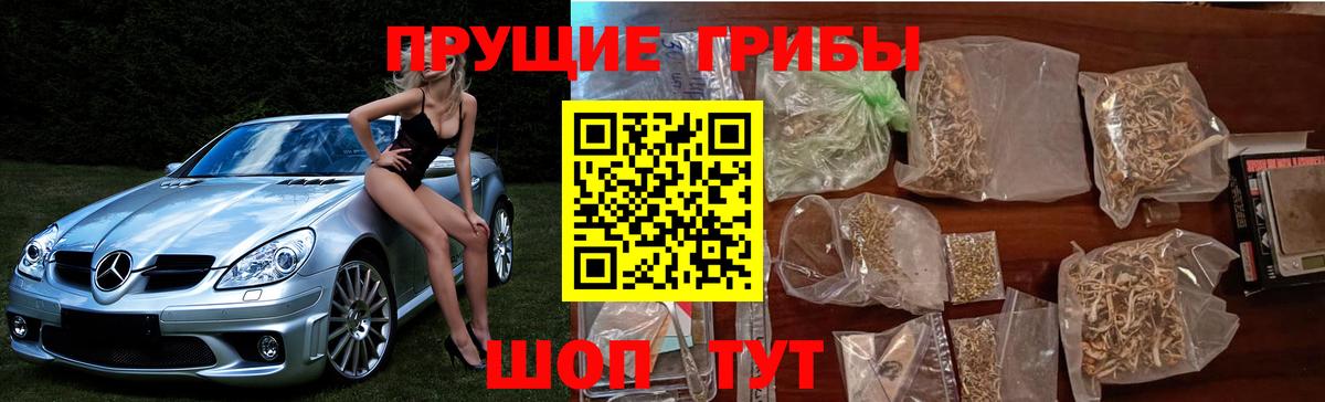 Галлюциногенные грибы MAGIC MUSHROOMS  Вход с VPN  Кириши  Псилоцибиновые грибы Psilocybine cubensis 