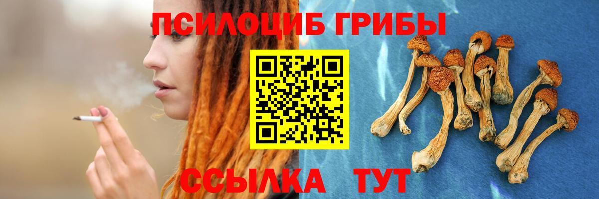 Псилоцибиновые грибы GOLDEN TEACHER Кириши
